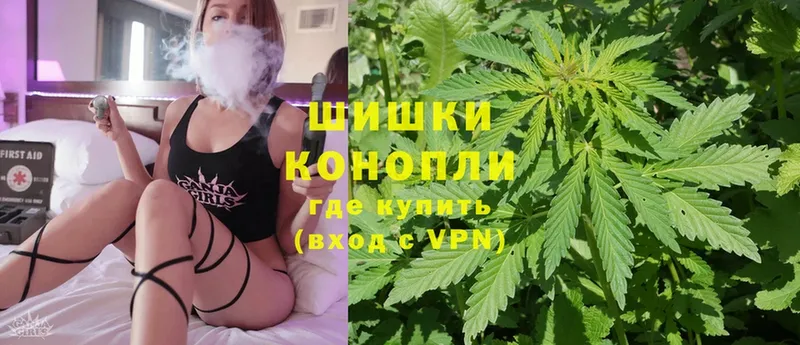 Бошки марихуана THC 21%  наркота  Высоцк 